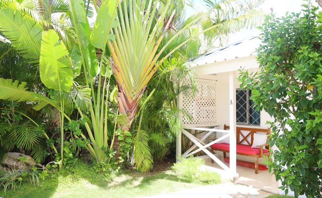 Rooms Bayahibe Guest House