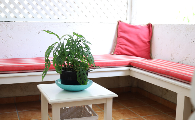 Apartamento Pedernales